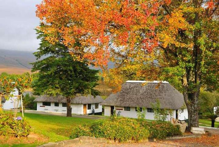 Drakensberg White Mountain Backpackers Hotel Есткорт Екстериор снимка